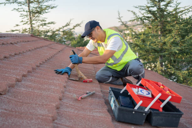 Best Roof Moss and Algae Removal  in Mckinley, PA